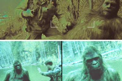 ‘I Saved a Drowning Bigfoot, Then Something Amazing Happened’ – Sasquatch Encounter Story
