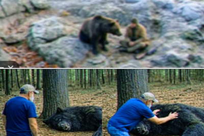 He Discovered a Dying DOGMAN in the Woods, What It Said Before Dying Shocked Him…