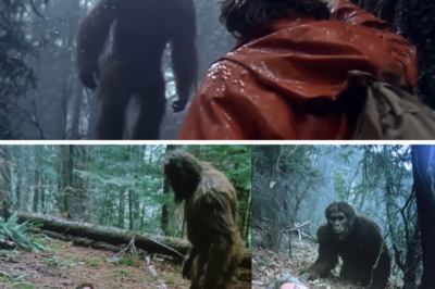 A Hunter Was Dy//ing in the Forest. A Bigfoot Appeared. What Happened Next Will Sh0.ck You!