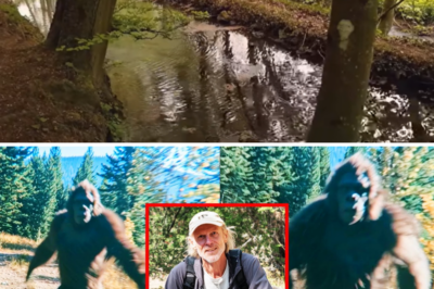 Hiker’s Final Footage of BIGFOOT – BIGFOOT SIGHTINGS ON CAMERA COMPILATION