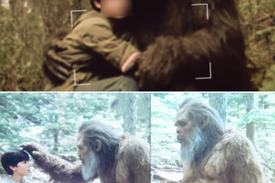 This Boy Has Been Friends With Bigfoot for 2 Decades, Finally Shares the Truthd – Sasquatch Story