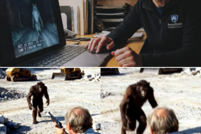2 Dogman Sightings in Pennsylvania — The Quarry Beast and the Forest Stalker
