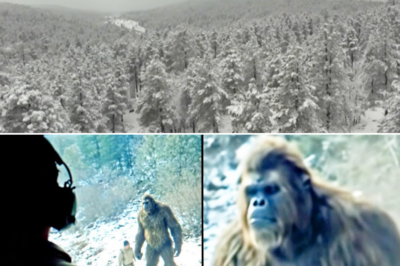Helicopter Pilot Films GIANT SASQUATCH with a Hiker – Bigfoot Encounter Story