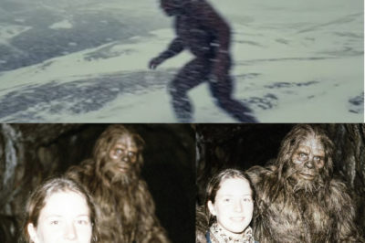 Man Discovers His Missing Wife Living with a Bigfoot in a Cavern