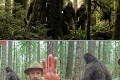 “Don’t Log This.” What The Ranger Said When Dropping Off The ‘Injured Camper’