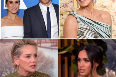 Sharon Stone HUMILIATES Meghan Markle On The View After Heated Clash