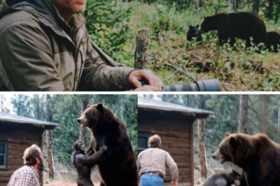 Bear Fights Werewolf to Protect Her Cubs — Both Fought Until One Stopped Moving