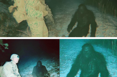 US SOLDIERS FIND WOUNDED BIGFOOT – Veteran’s Terrifying Bigfoto Encounter Story