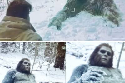 Hiker Finds Wounded Bigfoot in Avalanche Aftermath, What Happened Next Changed Her Life
