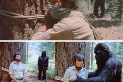 Bigfoot Found a Ranger Tied to a Tree, What Happened Next Will Shock You