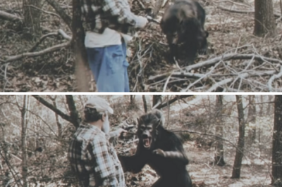 2 Terrifying Dogman Encounters in Michigan — The Beast Returns Every Fall