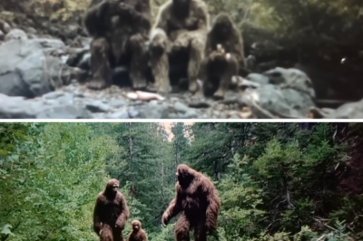 Hunter Films Bigfoot Family Hidden In Appalachian Mountains, Incredible Findings