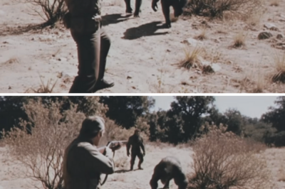 2 Dogman Sightings in Ohio — Both Families Left Their Homes Forever