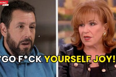 The Day Adam Sandler Broke Joy Behar on Live TV – You Won’t Believe What Happened