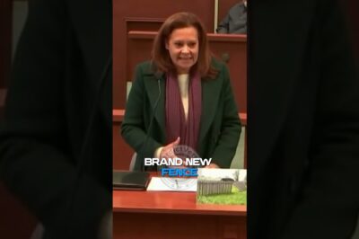 Neighbor Sues Man for Driving Through Fence — Judge Shuts Her Down 🏡⚡