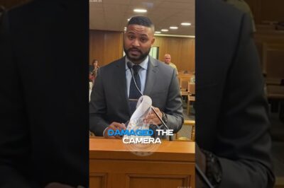 Karen Destroys $1M IMAX Camera — Judge Is Furious 🎥😡