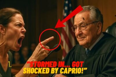 An Angry Woman Stormed Into Judge Caprio’s Courtroom — She Instantly Regretted Her Words