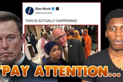 Ilhan Omar and Tim Walz Under Fire as Elon Musk Fuels Online Storm Over Transparency and Power