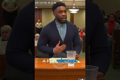 City Sues Dad for One Firework on New Year’s — Judge’s Response Shocks Everyone 🎆⚖️