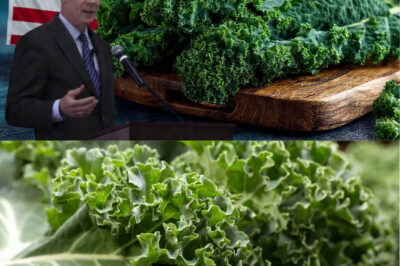 Dr. Joseph DiPir Reveals the Hard-to-Believe Health Benefits of Kale