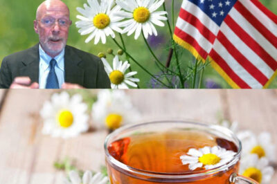 Dr. Joseph DiPiro Reveals the Incredible Health Benefits of Chamomile You Won’t Believe
