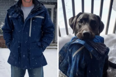 THE JACKET IN THE WOODS: 🐕 After 6 Years, Our Dog Brought Back a Piece of the Past—Then Led Me to a Nightmare.